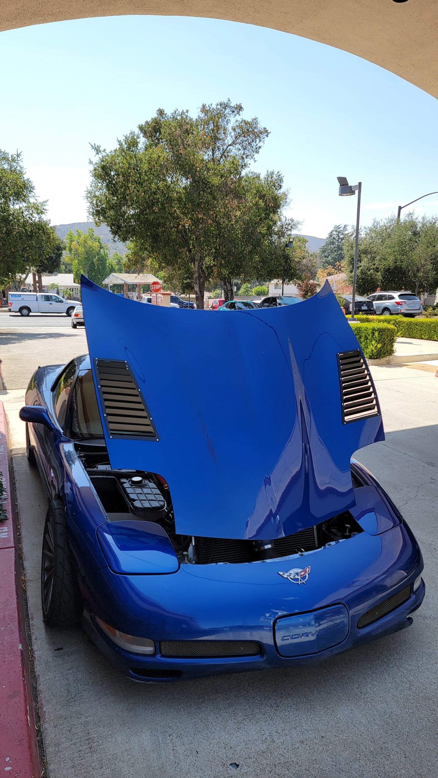 Chevrolet C5 Corvette Hood Louvers